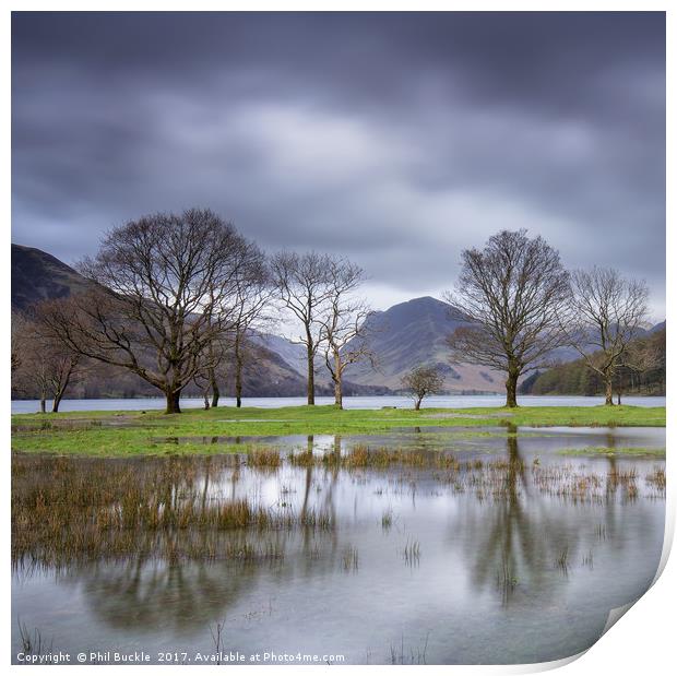 Buttermere Puddle Print by Phil Buckle