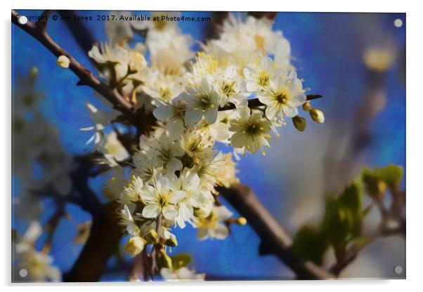 Artistic Hawthorne Blossom Acrylic by Jim Jones