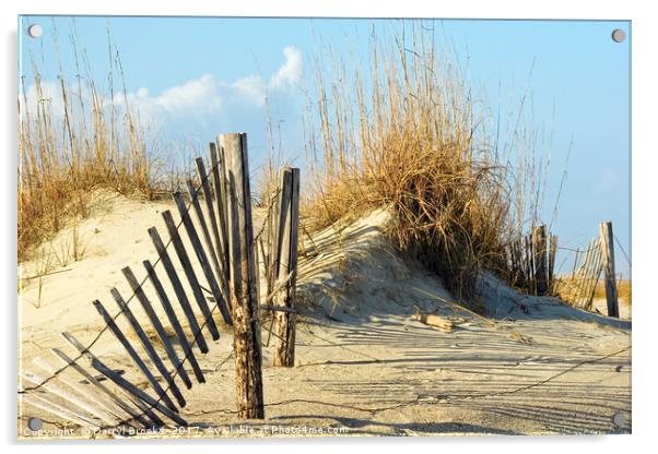Fence in Dunes Acrylic by Darryl Brooks