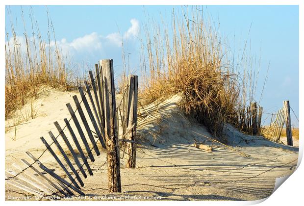 Fence in Dunes Print by Darryl Brooks