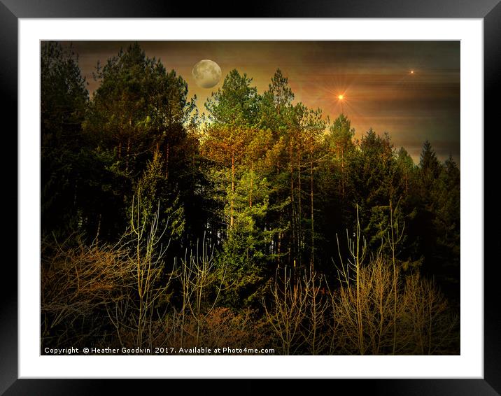 Night Forest Framed Mounted Print by Heather Goodwin