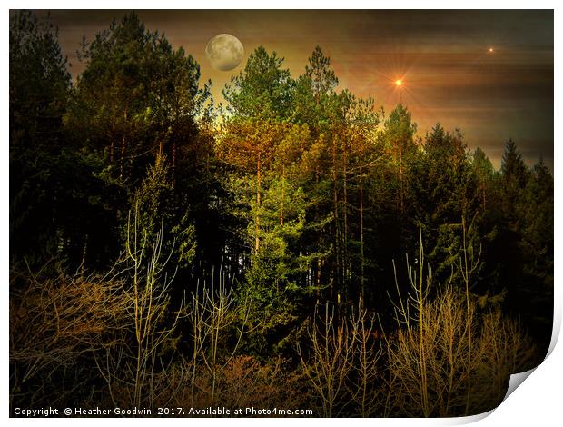 Night Forest Print by Heather Goodwin
