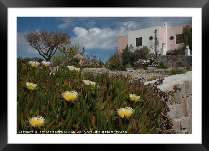 GARDEN ON THE ISLAND OF LIPARI,  SICILY Framed Mounted Print by Tony Sharp LRPS CPAGB