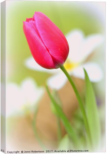 Pink Tulip Canvas Print by Jenni Robertson