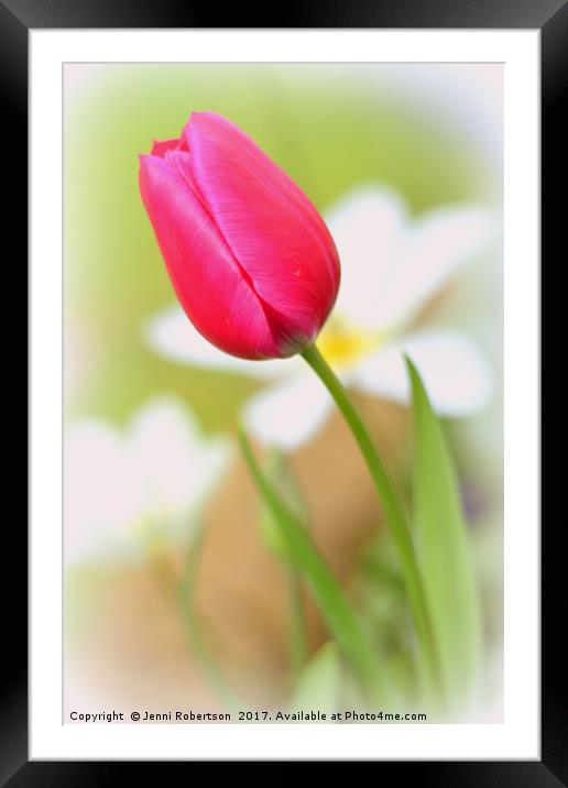 Pink Tulip Framed Mounted Print by Jenni Robertson