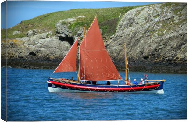 Cemaes Life Boat Canvas Print by Derek Hickey