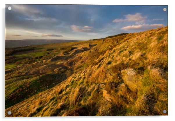 Evening light on Coombes edge Acrylic by Andrew Kearton