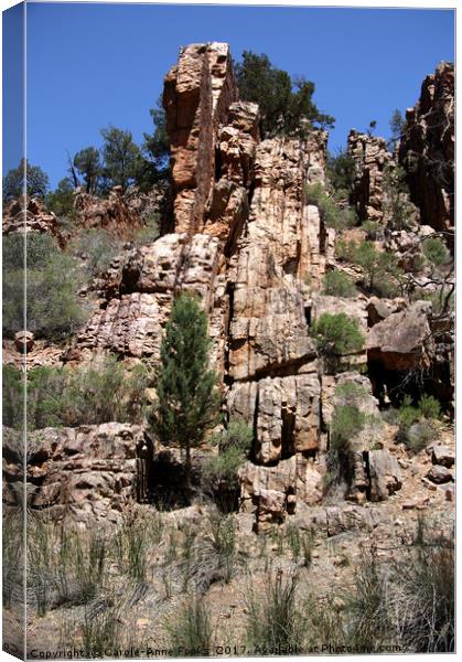 Warren Gorge, Flinders Ranges Canvas Print by Carole-Anne Fooks