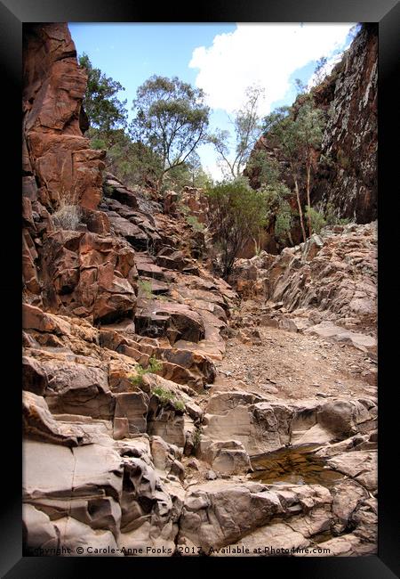 Sacred Canyon, Flinders Ranges Framed Print by Carole-Anne Fooks