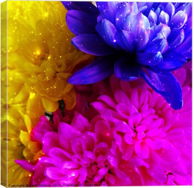 A Colourful Bunch Canvas Print by Jane Metters