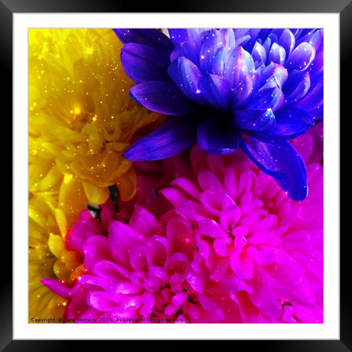 A Colourful Bunch Framed Mounted Print by Jane Metters