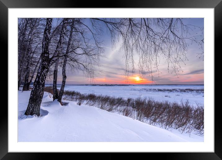 Trees and setting sun on the edge of a winter forest Framed Mounted Print by Dobrydnev Sergei