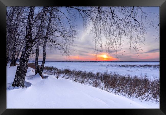 Trees and setting sun on the edge of a winter forest Framed Print by Dobrydnev Sergei