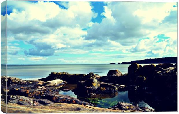 Coppet Hall rockpool view  Canvas Print by kieran norman