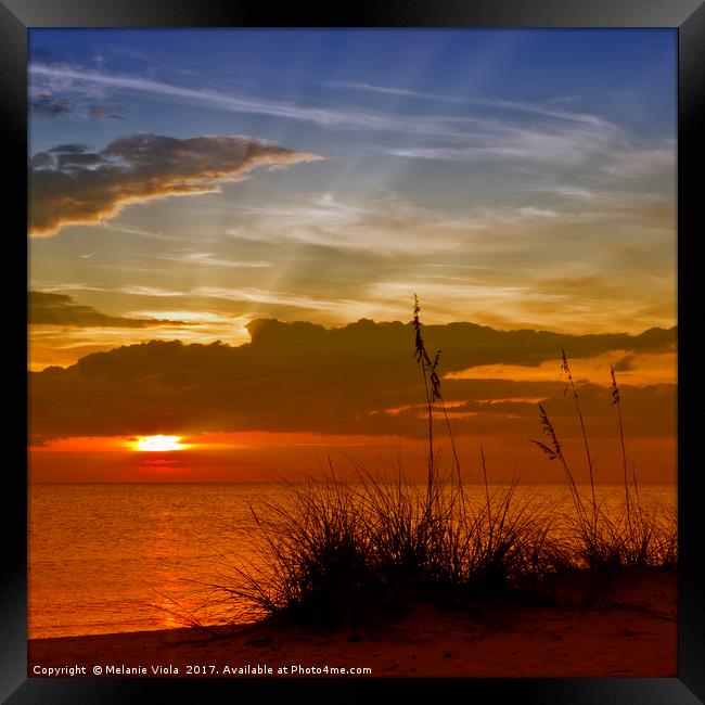Gorgeous Sunset Framed Print by Melanie Viola