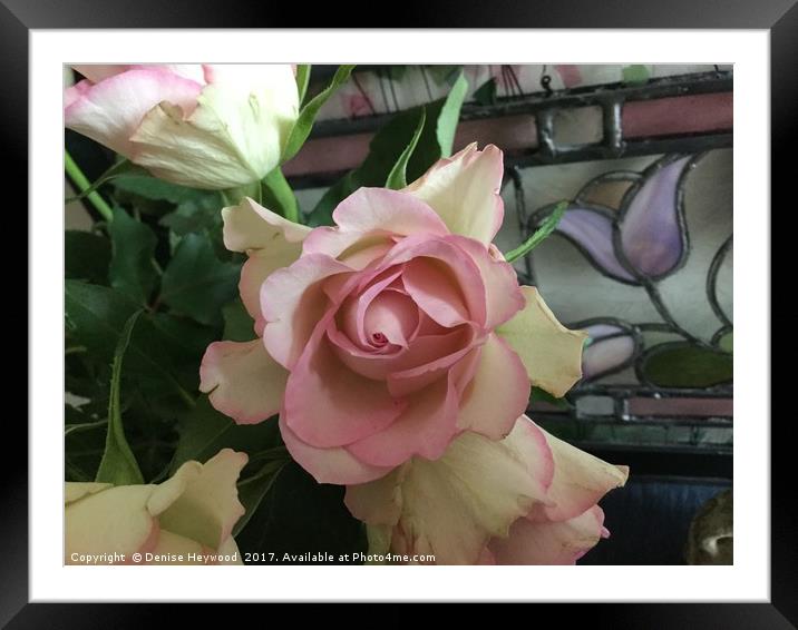 Roses with stained glass Framed Mounted Print by Denise Heywood