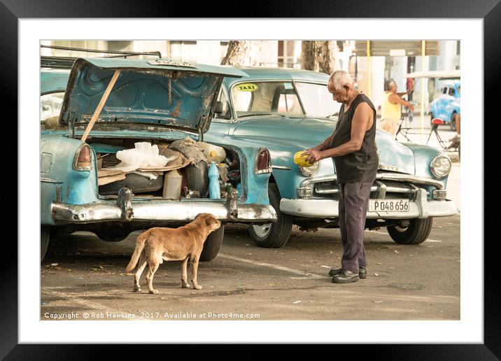 Cuban dog feed  Framed Mounted Print by Rob Hawkins