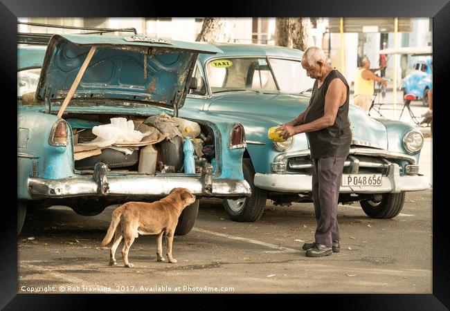 Cuban dog feed  Framed Print by Rob Hawkins