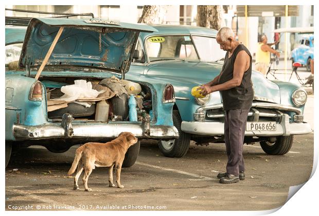 Cuban dog feed  Print by Rob Hawkins