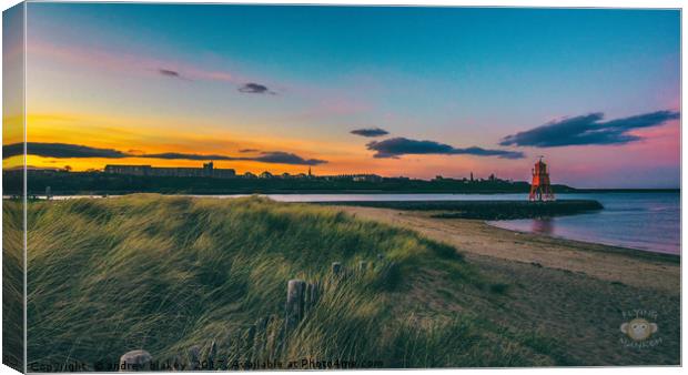 Littlehaven sunset Canvas Print by andrew blakey