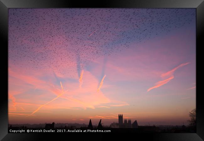 Canterbury Cathedral Dawn and a Flock of Starlings Framed Print by Kentish Dweller