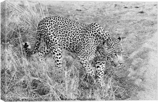 Close encounter with a leopard (mono) Canvas Print by Angus McComiskey