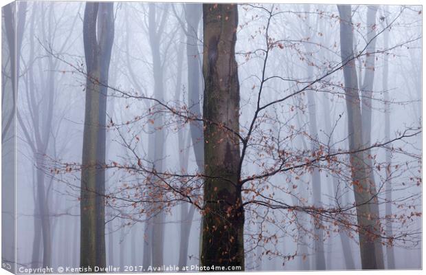 Misty Beeches, King's Wood Canvas Print by Kentish Dweller