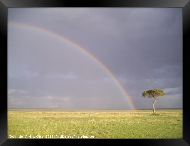 Photo of a rainbow over the plains of the Masai Ma Framed Print by Matt Cass