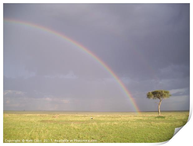 Photo of a rainbow over the plains of the Masai Ma Print by Matt Cass