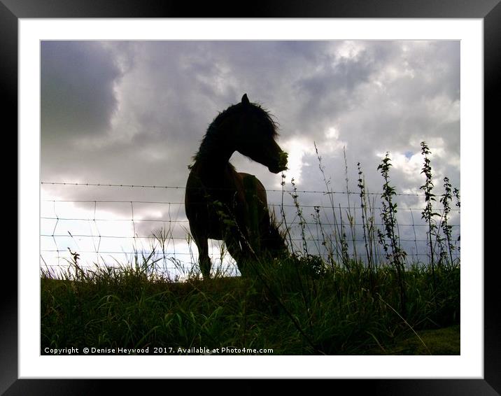 Horse Silhouette  Framed Mounted Print by Denise Heywood