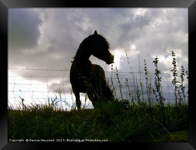 Horse Silhouette  Framed Print by Denise Heywood