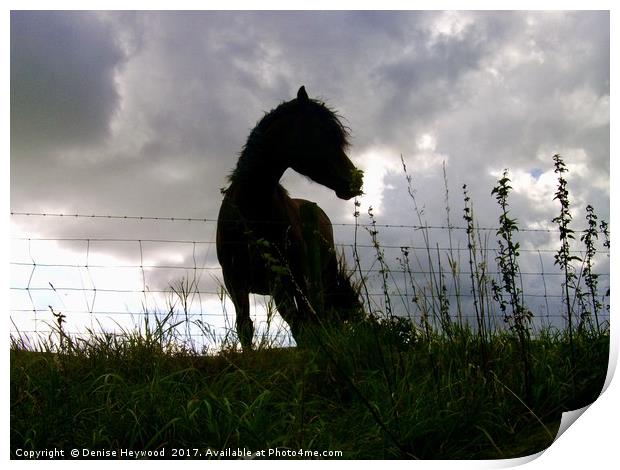 Horse Silhouette  Print by Denise Heywood