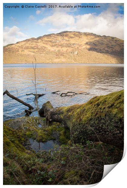 Shores of the Loch Print by Claire Castelli