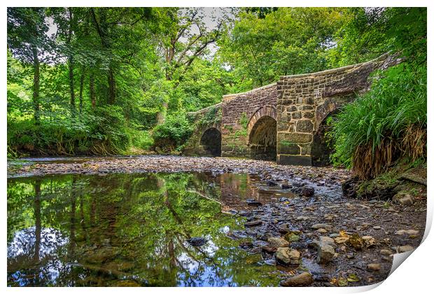 River Lynher Bridge, Cutmere, Cornwall, UK Print by Mark Llewellyn