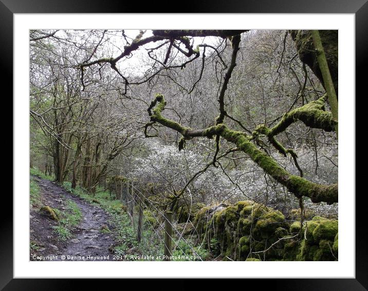 Mossy Branches Framed Mounted Print by Denise Heywood