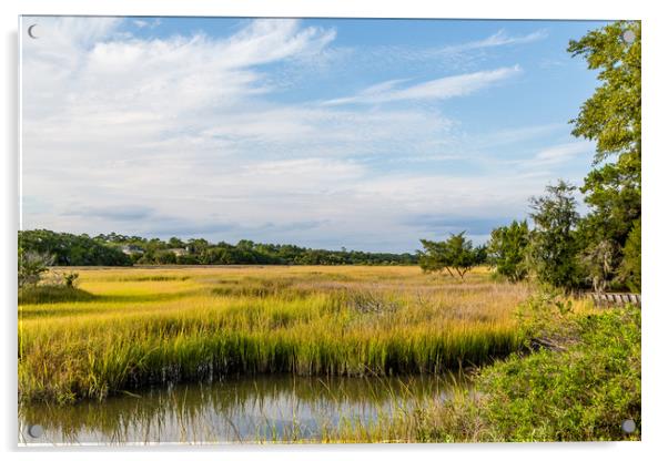 Golden Green Marsh Under Blue Skies Acrylic by Darryl Brooks