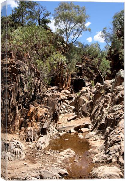Sacred Canyon, Flinders Ranges Canvas Print by Carole-Anne Fooks