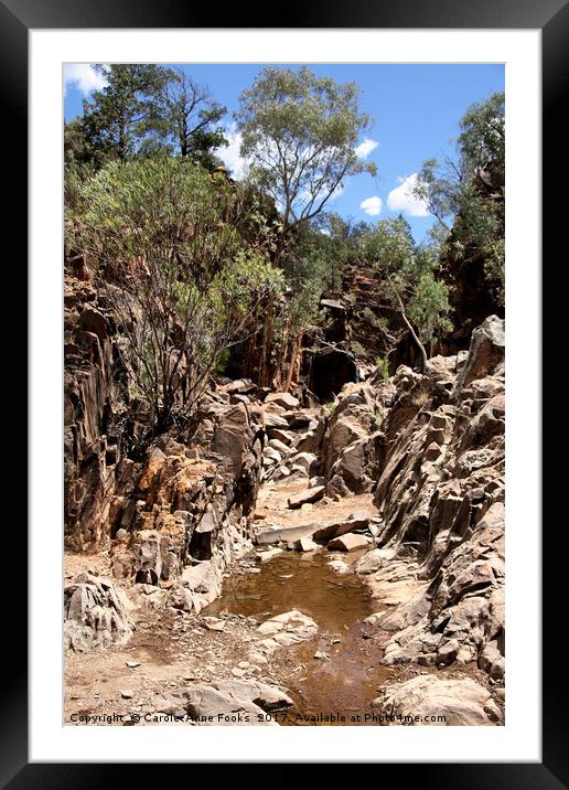 Sacred Canyon, Flinders Ranges Framed Mounted Print by Carole-Anne Fooks