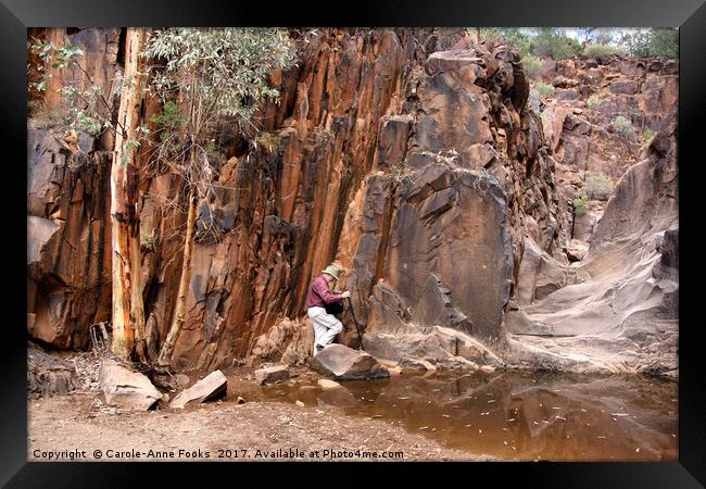 Sacred Canyon, Flinders Ranges Framed Print by Carole-Anne Fooks