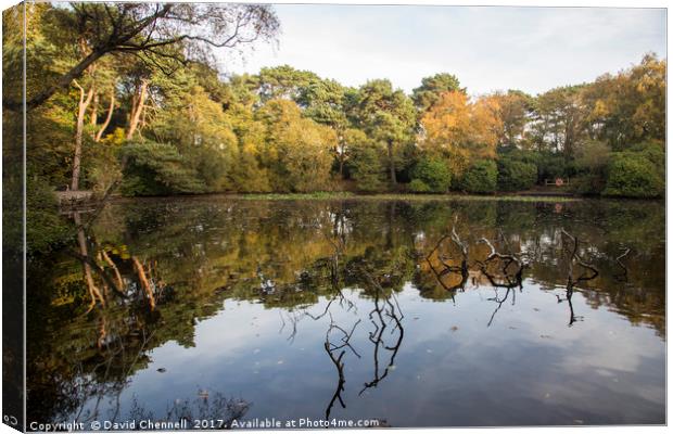 Roodee Mere Canvas Print by David Chennell