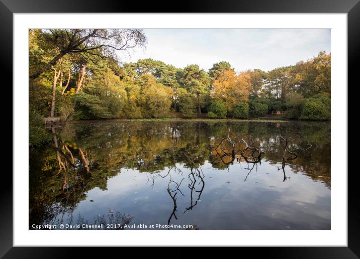Roodee Mere Framed Mounted Print by David Chennell