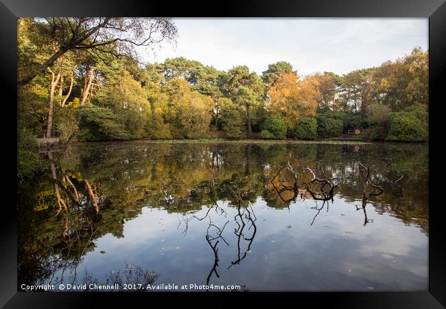Roodee Mere Framed Print by David Chennell