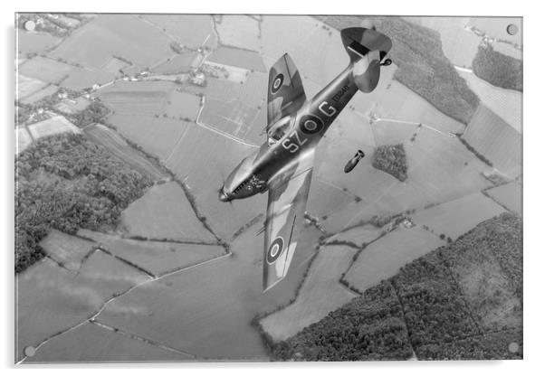 Dive bombing Spitfire XVI, B&W version Acrylic by Gary Eason