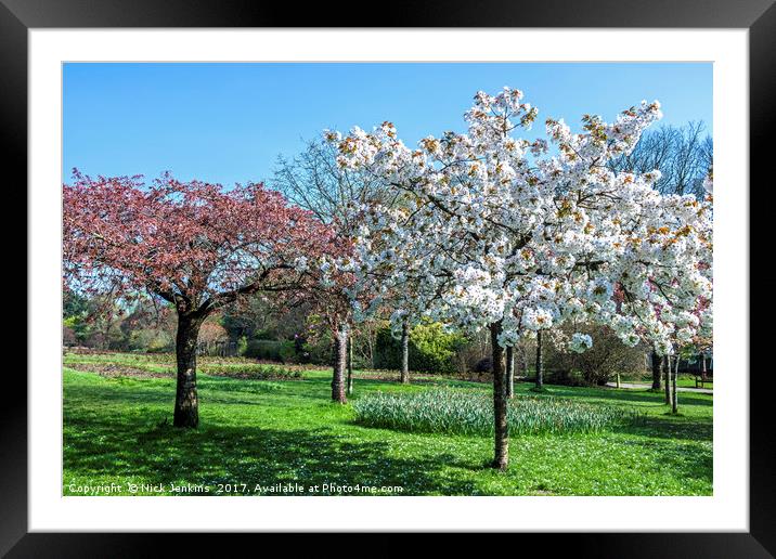Spring in Roath Park Cardiff Framed Mounted Print by Nick Jenkins
