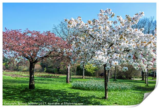 Spring in Roath Park Cardiff Print by Nick Jenkins