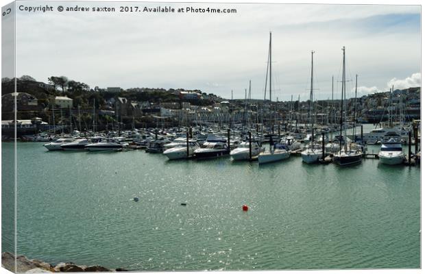 BOATS IN THE SUN Canvas Print by andrew saxton