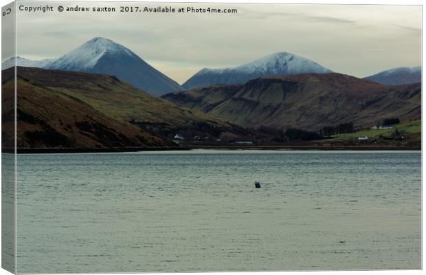 LOCH CARBOST Canvas Print by andrew saxton