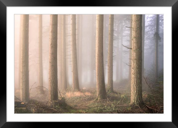 Into the Mist Framed Mounted Print by Chris Frost