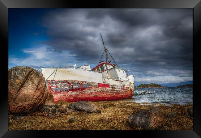 at the ground Framed Print by Hamperium Photography