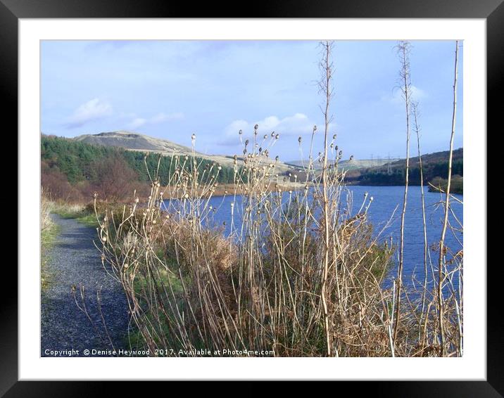 Grasses at Crowden Reservoir  Framed Mounted Print by Denise Heywood